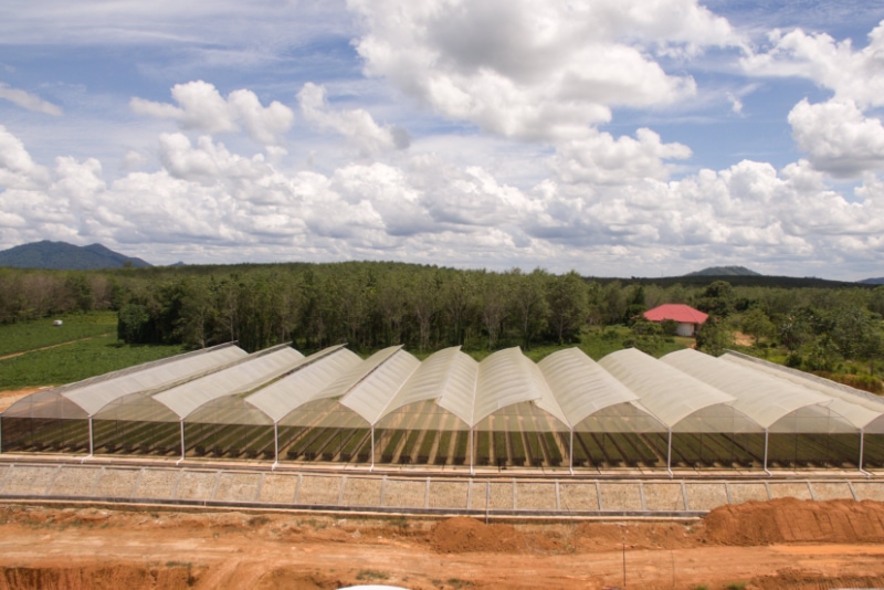 project greenhouse