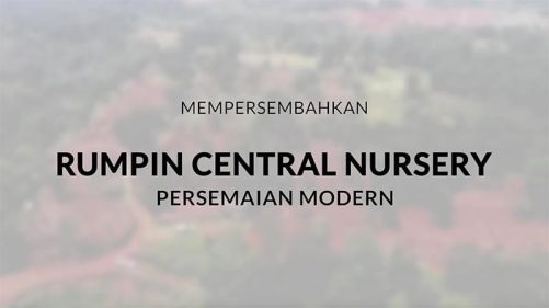 rumpin massgro nursery